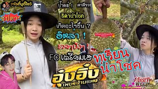 ด่วน ตาดีรวย ทุเรียนนำโชค!  อิหล่าเลือกทุเรียนเลขเด็ด ตรงกับเลขวงใหม่ แตกซวดๆบันเทิงศิลป์ของอุ๋งอิ๋ง