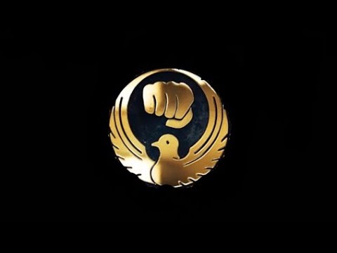 A Very Brief History of Wado Ryu