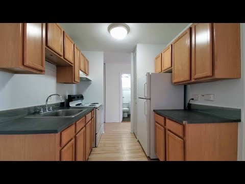 A large 1-bedroom with a balcony near Lincoln Park in Lakeview East A large 1-bedroom with a balcony near Lincoln Park in Lakeview East