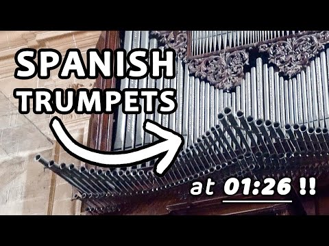LA MOURISQUE with Spanish Trumpets! 🎺 - T. Susato - Organ Socors (ES) - Paul Fey