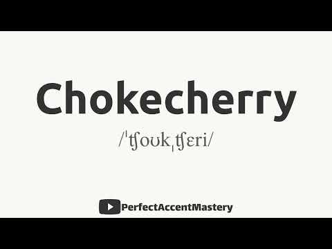 How to Pronounce CHOKECHERRY | Fruit Name | IPL | Definition | Perfect Accent Mastery