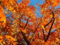 Красивая осень: наслаждение природой 