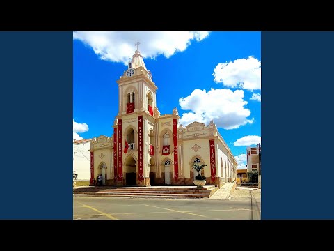 Viva São Sebastião - Paróquia de São Sebastião…