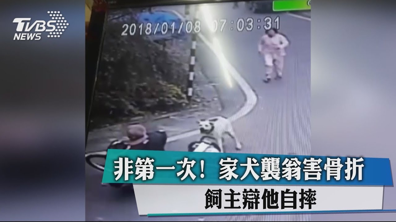 非第一次!家犬襲翁害骨折 飼主辯他自摔