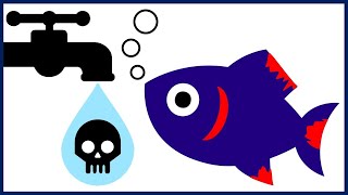 How to Save Your Fish from Chlorine Poisoning