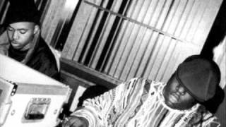 Heaps of Hope (Royce da 5'9 x Biggie x Gold Panda x Nas)