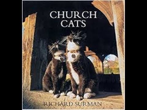 when u go to church and cat in the way