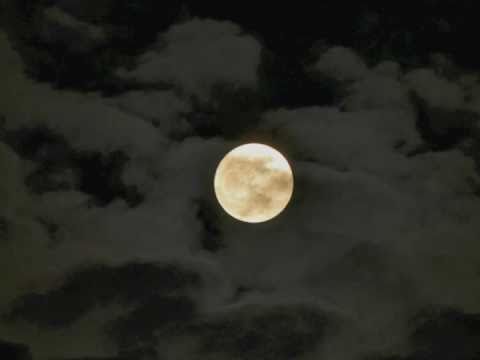 Sarah Vaughan Moonglow