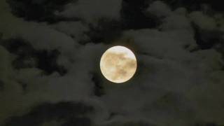 Sarah Vaughan Moonglow