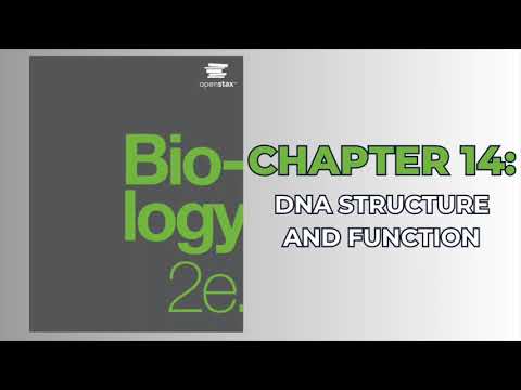 OpenStax Biology 2e (Audiobook) - Chapter 14: DNA Structure and Function