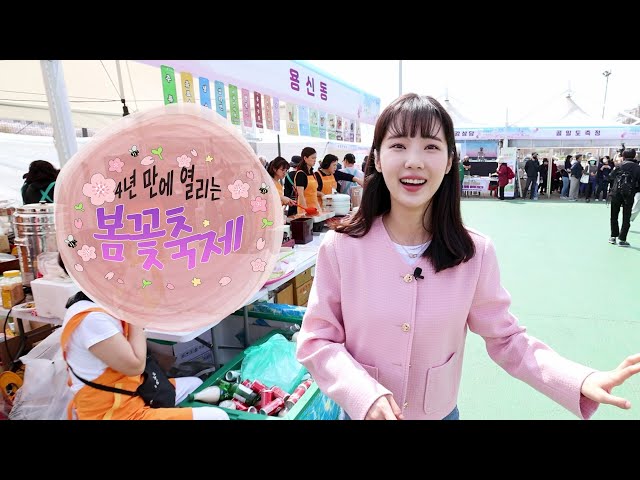 동대문구 봄꽃축제