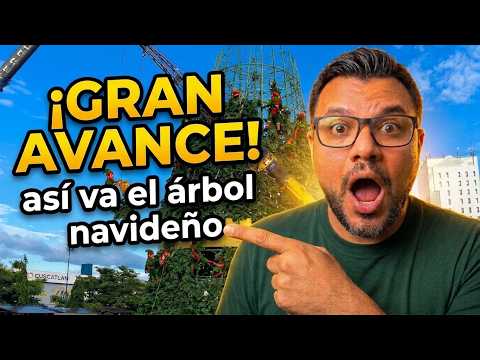¡CAMBIÓ EN POCO TIEMPO! el ÁRBOL NAVIDEÑO de la SAN MARTIN