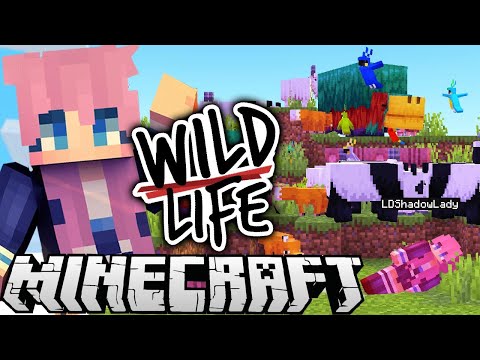 The WORST Best Day Ever | Ep. 6 | Wild Life