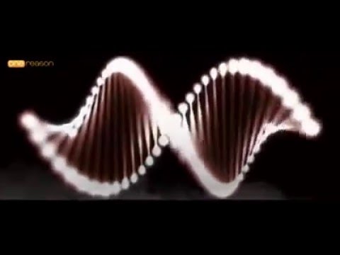 Recognise your creator and be grateful for everything he has given you!