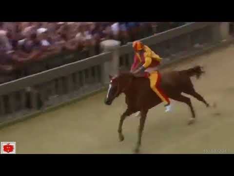 Palio di Siena 16 agosto 2017 Vince l'ONDA Palio dell' Assunta 16-08-2017
