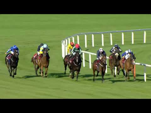 Leopardstown Highlights 26th October 2019
