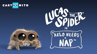 Lucas the Spider - Arlo the Owl ™ Needs A Nap - Short