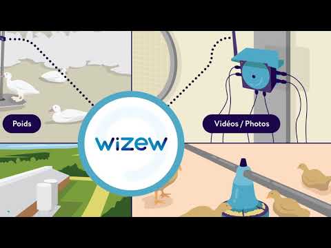 [Motion Design] L'agriculture connectée avec Wizew !