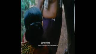 - Kumki - D. Imman - Vikram prabhu - Lakshmi Menon - Prabhu Solomon - Whatsapp status - Love songs❤️