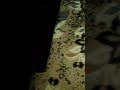 Замена ручки бардачка
