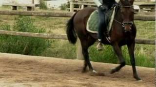 Philadelphia, FOR SALE.