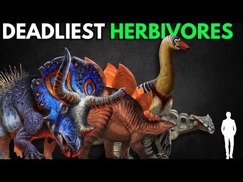 What Herbivorous Dinosaurs Would Be Most Dangerous to Humans?
