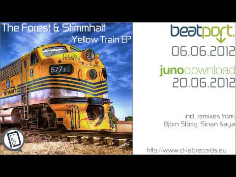 [DLBR-051] The Forest & Stimmhalt feat. Kowalsky - Sun Regrets (Sinan Kaya remix) [D-Lab Records]