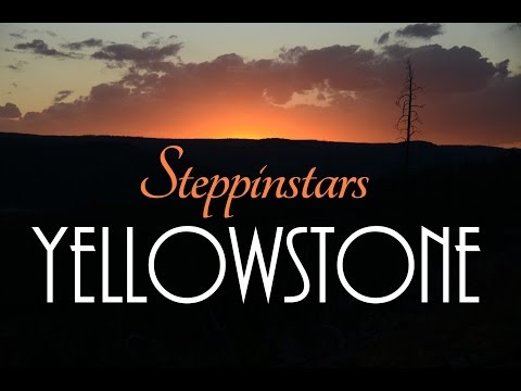 Yellowstone - geysers - National Park - Old Faithful - Steppinstars - new - travel - wildlife