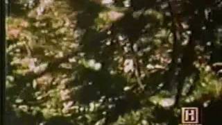 (Leonard Nimoy)  In Search Of.. **Bigfoot**  (Season 1 Episode 5)