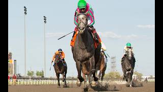 2026 Woodbine Oaks - Luster is Set to Challenge the Boys in the Kings Plate - 07/19/2026