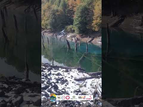 RESUMEN TOUR PARQUE NACIONAL CONGUILLIO FULL DAY GUIA LOCAL ARAUCANIA