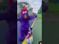 Sesame Street Character Runs Over Little Girl