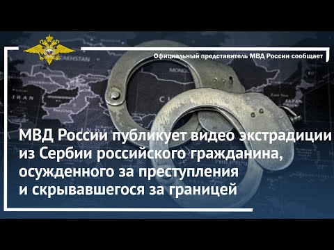 Ирина Волк: Сербия выдала гражданина России, осужденного за преступления и скрывшегося за границей