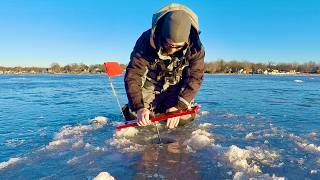Late Ice Walleye! - Ice Fishing with Tip Up's for the WIN!
