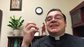 Jn 15, 1-8 “Yo soy la verdadera vid y mi Padre es el viñador.”