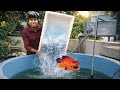 FINALLY Our First Saltwater MONSTER In Zoo JENISH KJ