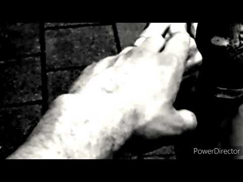 gruby zwp - bez ciebie