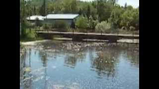 preview picture of video 'The Pigeon River and Dam, Omemee, Ontario, Canada'