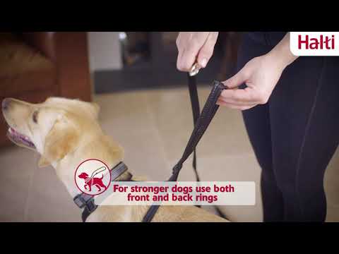 Halti No Pull Harness: Help Prevent your Dog from Pulling on the Leash