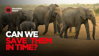 Before It's Too Late from the Brink of Eternity | Storyteller Media