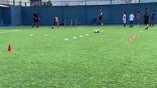 Habilidade não vem do acaso!