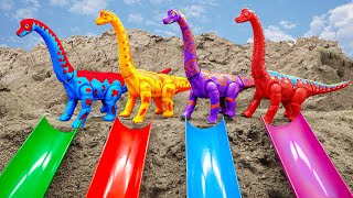 T-Rex Dinosaurs find and assemble long-necked dinosaur's tail | Animal for kids - ToyTV khủng long