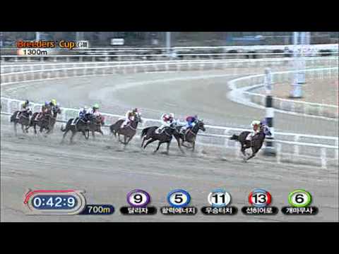 2010 Breeders' Cup (G3) - Sun Hero