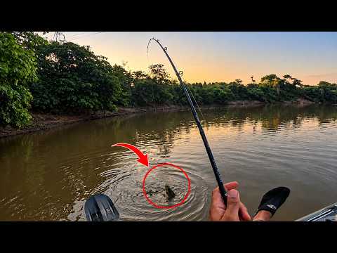 QUASE PERDI O PEIXE NO RIO MIRANDA! 🐊🎣
