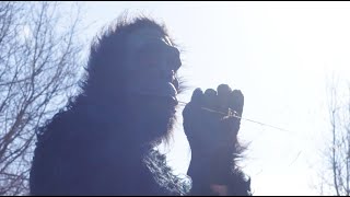 Josh Joplin Group -  I’m With Gorillas (Official Video)