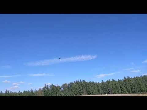 inav vtol 3rd person view