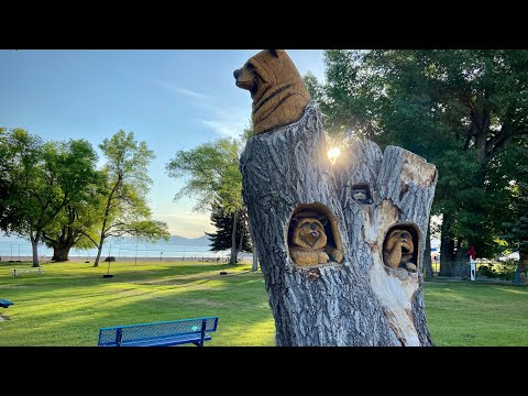 Oaktree Media, LLC video.