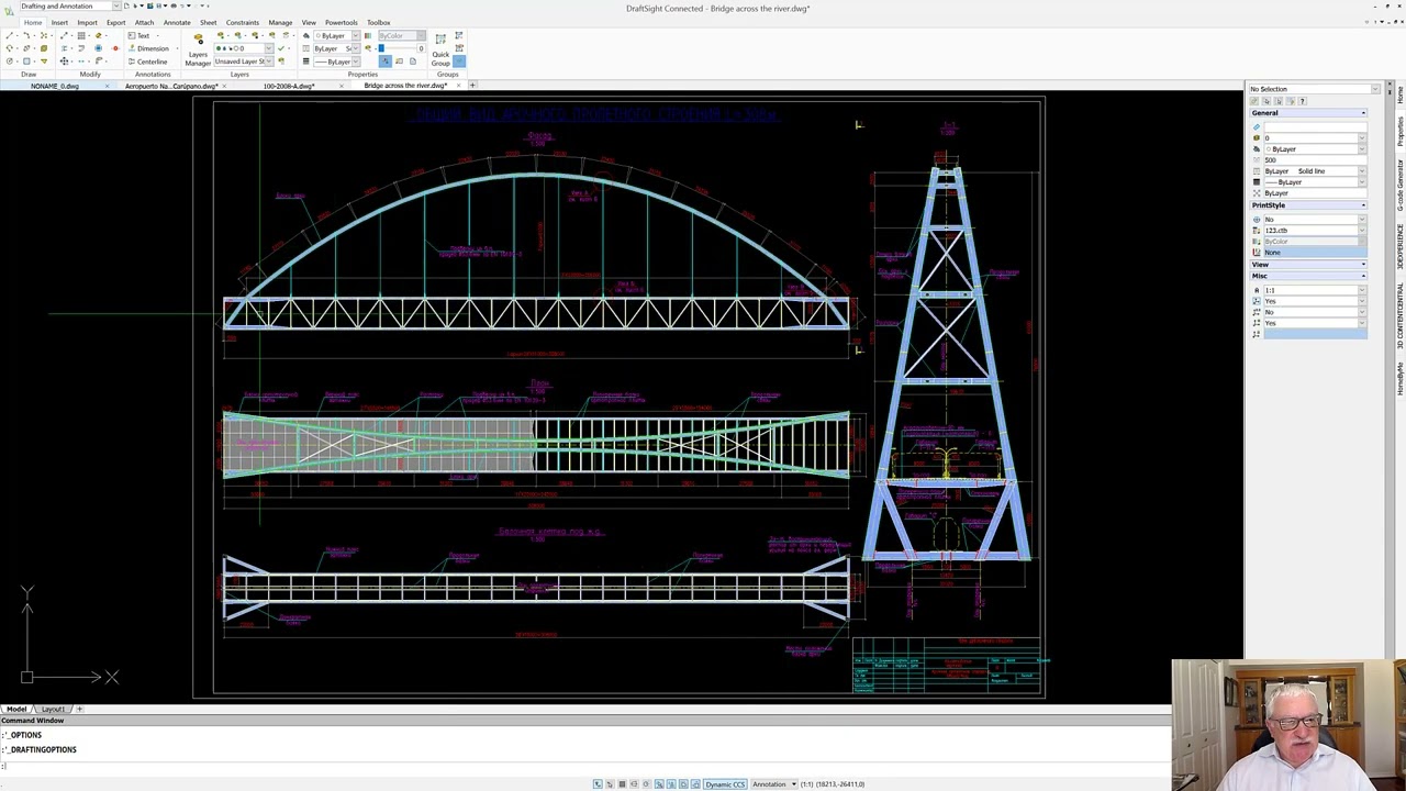Controlling Options: DraftSight Features