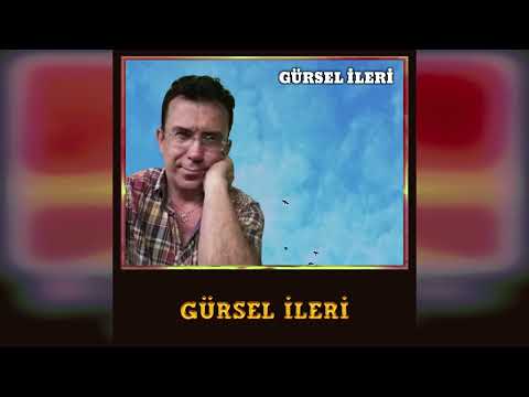 Gürsel İleri - Gürsel İleri