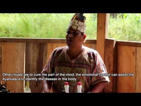 Selva Madre - Ayahuasca retreat, Don Luis - 2 of 4